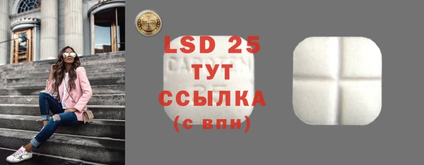 стафф Медногорск