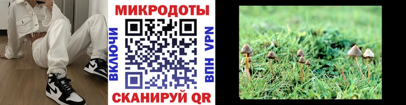 даркнет сайт  Пласт  mega онион  Галлюциногенные грибы прущие грибы 